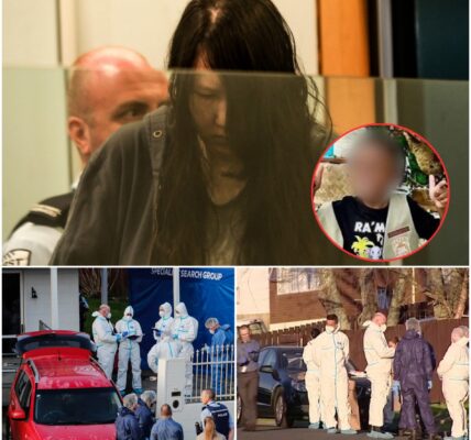 Koffer des Grauens: Polizei entdeckt verstummtes Kind – Mutter schweigt eisig, während ein dusteres Geheimnis ganz Deutschland erschuttert.