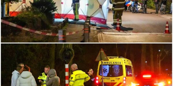 Man (26) doodgeschoten in Meppel, buren hoorden meerdere knallen