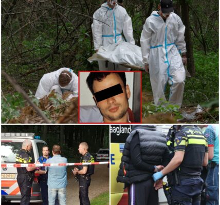 Lichaam gevonden in het Haagse Bos: politie stuit op onheilspellende aanwijzingen — buurt in angst na nachtelijke ontdekking