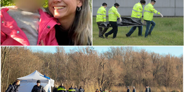 Tragischer Fund im Kralingse Bos: Leiche einer vermissten Mutter entdeckt – Polizei ermittelt wegen möglichem Gewaltverbrechen