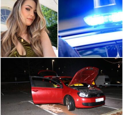 Influencerin wurde ermordet und im Wald verscharrt