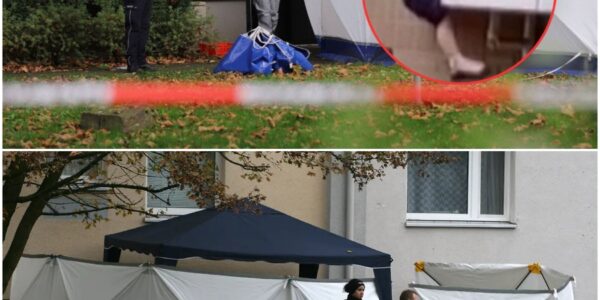 Schockierende Tragödie: Kind sturzt unerklärlich – Mutter bricht zusammen, Nachbarn flustern von dunklen Geheimnissen.