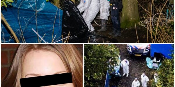 Lichaam van Anne Faber (25) gevonden in bos bij Zeewolde: politie onderzoekt mogelijke betrokkenheid van man die haar woning verliet