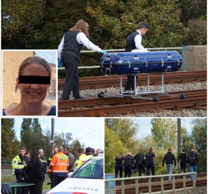 Bahnverkehr zwischen Utrecht und Den Haag eingestellt nach Fund einer Leiche im Wasser entlang der Bahnstrecke bei Bleiswijk und Zevenhuizen