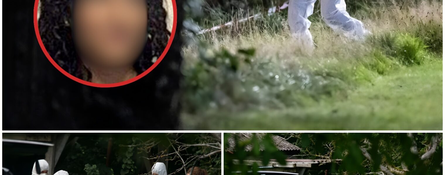 GEHEIMER ALBTRAUM: Mädchen Verlässt Nach Mitternacht Das Haus Und Bricht Kontakt Ab – Die Unglaubliche Wahrheit, Dass Der Streit Nur Ein Vorwand Für Einen Größeren Plan War, Ist... Ein Indiz für Fluchthilfe!