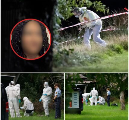 GEHEIMER ALBTRAUM: Mädchen Verlässt Nach Mitternacht Das Haus Und Bricht Kontakt Ab – Die Unglaubliche Wahrheit, Dass Der Streit Nur Ein Vorwand Für Einen Größeren Plan War, Ist... Ein Indiz für Fluchthilfe!