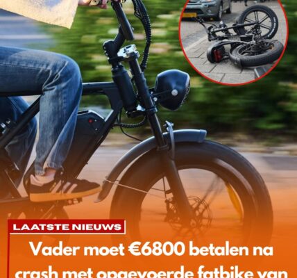 Vader mag €6800 lappen na crash met opgevoerde fatbike van zoon (12)