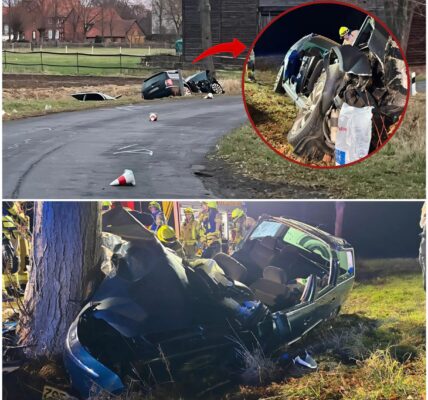 Schwerer Verkehrsunfall in Liebenburg: Zwei junge Männer schwer verletzt – Fahrer unter Alkoholeinfluss?