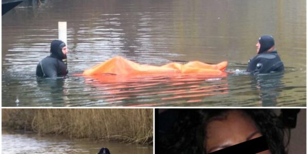 Leiche im Wasser der Linnaeuskade gefunden: Polizei untersucht „ungewöhnliche und beunruhigende“ Umstände