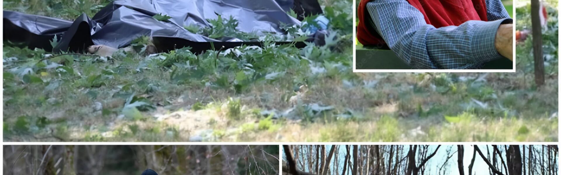 Leichnam in Hamburger Wald gefunden: Identität des Toten bestätigt