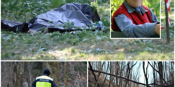 Leichnam in Hamburger Wald gefunden: Identität des Toten bestätigt