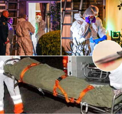 Dode vrouw (78) aangetroffen in woning in Eindhoven, politie vindt bloederig mes in keukenafvalbak en meer schokkende details.