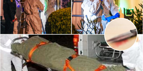 Dode vrouw (78) aangetroffen in woning in Eindhoven, politie vindt bloederig mes in keukenafvalbak en meer schokkende details.