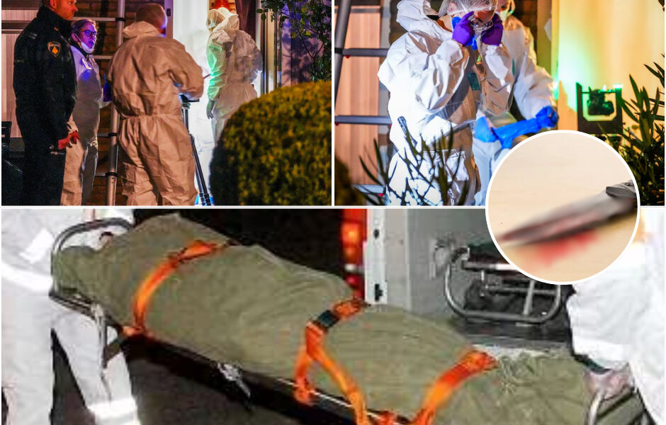 Dode vrouw (78) aangetroffen in woning in Eindhoven, politie vindt bloederig mes in keukenafvalbak en meer schokkende details.