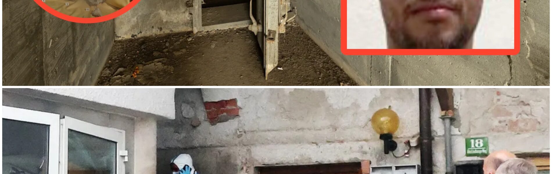 Der Fund unter dem alten Haus – das Geheimnis des verstummten Reus