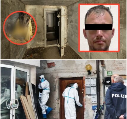 Der Fund unter dem alten Haus – das Geheimnis des verstummten Reus