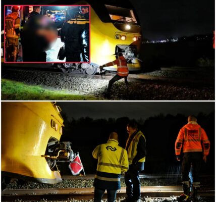 Trein botst op auto in Udenhout, vrouw en baby die in voertuig zaten lichtgewond