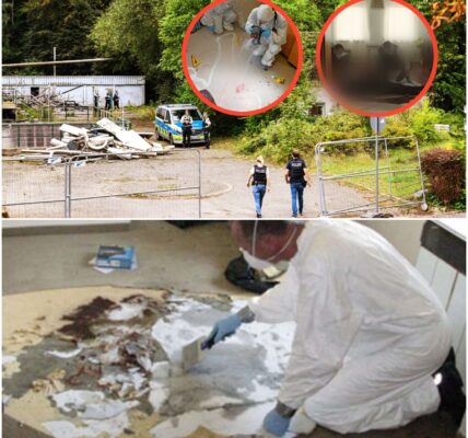 Das Geheimnis des versiegelten Zimmers – Der kopflose Fund von 1994