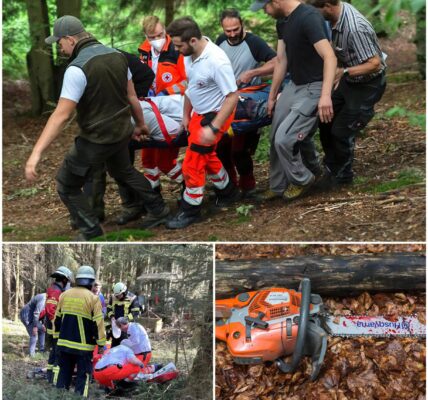 Spektakulärer Hubschraubereinsatz: Forstarbeiter im Mühlenbacher Wald gerettet