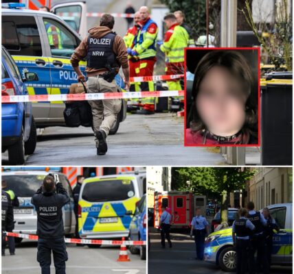 DIE TRAGÖDIE DER EINSAMKEIT UND DAS VERLOCKENDE VERSPRECHEN DER VIRTUELLEN WELT LOCKTEN DIE JUGENDLICHE "RAY"