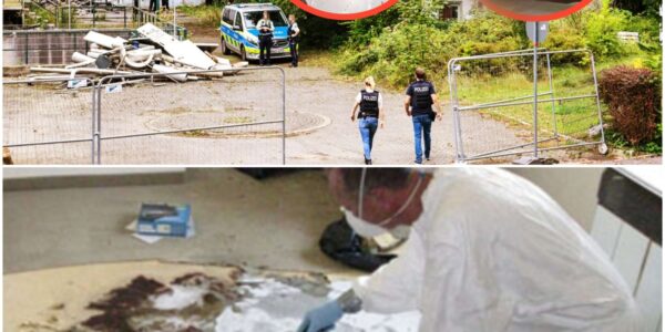 Das Geheimnis des versiegelten Zimmers – Der kopflose Fund von 1994