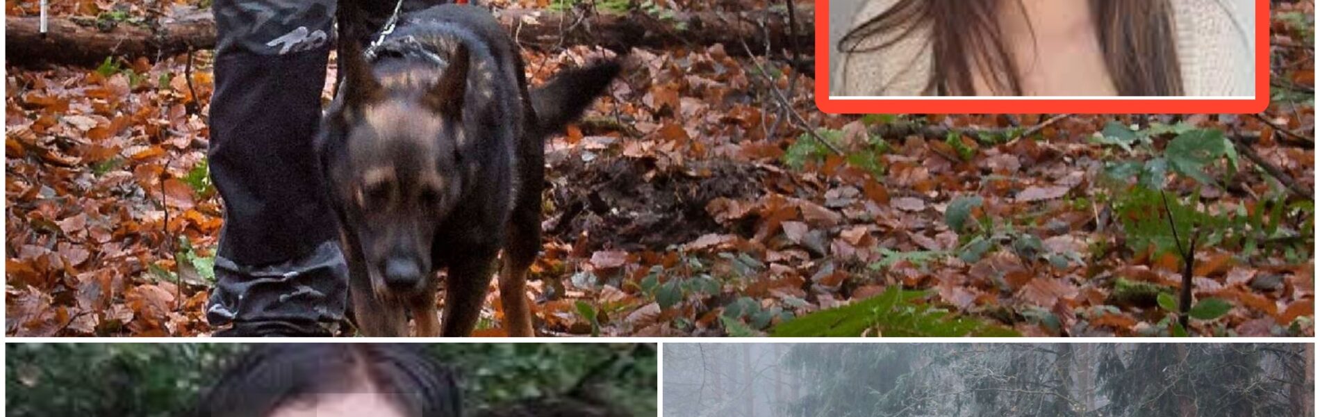 Mysteriöse Spur im Dunkel: Der Fall Philips Smitch