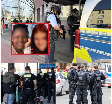 DRINGENDE FAHNDUNG: DAS EINZIGE SPUR IST DIE NARBE UND DAS SIGNAL DES ROTEN PULLOVERS AUF DER VERZWEIFELTEN REISE