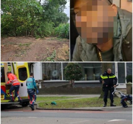Naakte man (35) met vuurwapen aangehouden in Sint Willebrord