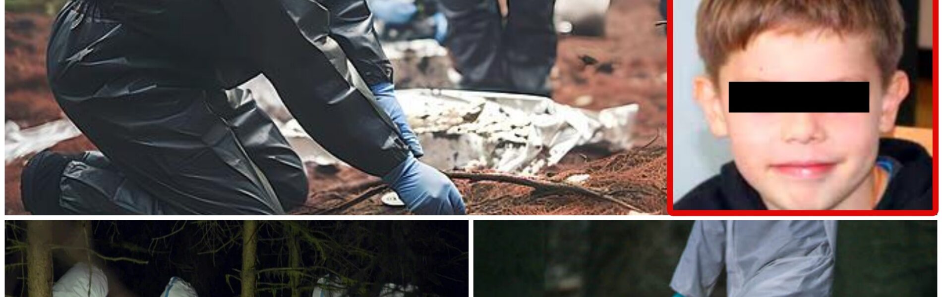 Schrecklicher Fund in der Nacht: Die Polizei fand die Leiche eines vierjährigen Jungen – vermutlich von einem Wolf angegriffen.