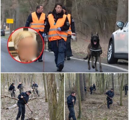 Mysteriöses Verschwinden von Christel K. (83) nach geheimen Treffen in Frankfurt