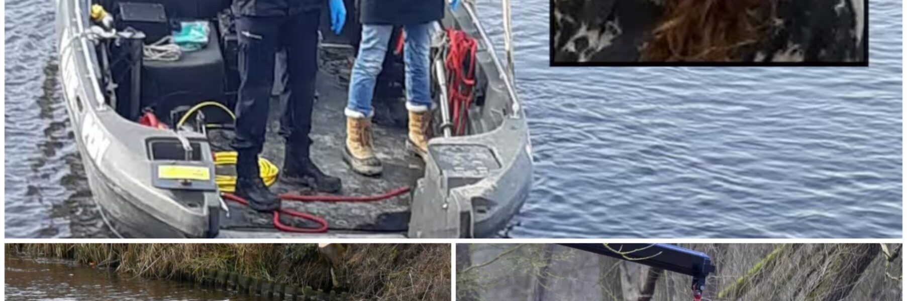 Bild von Ichelle, die vermisst wurde